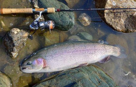 大型７本！ ～天竜川ルアーフライテンカラ専用区～